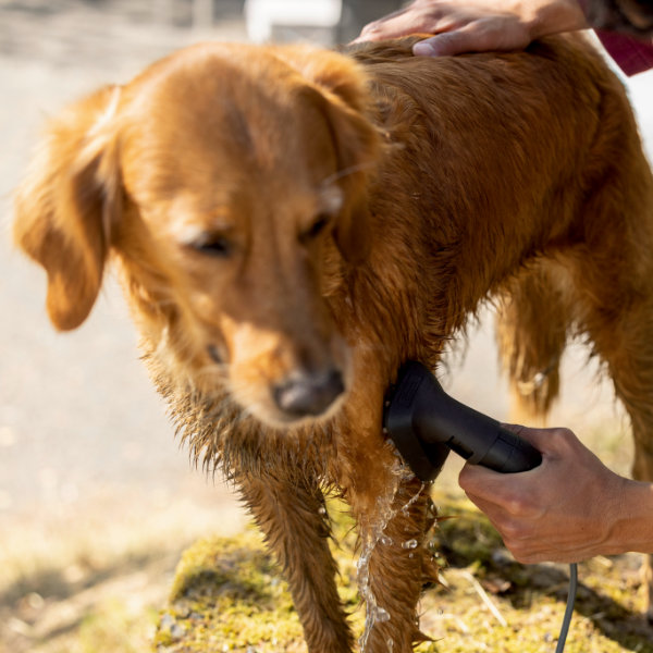 Karcher Pet Wash Brush | 2.644-421.0 Karcher Pet Wash Brush | 2.644-421.0